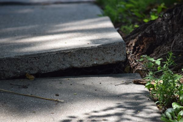 Sidewalk Leveling in Blue Springs